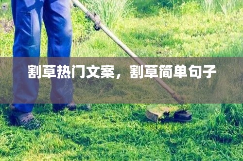 割草热门文案,割草简单句子