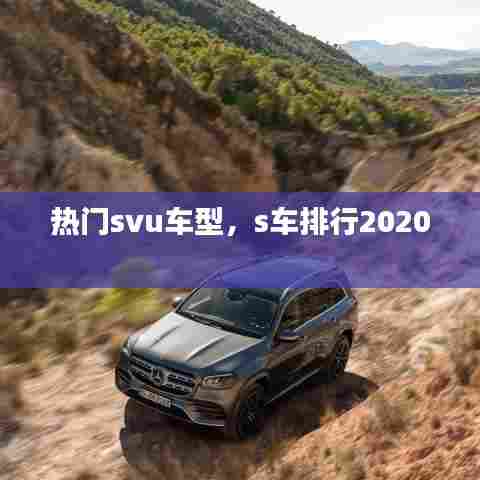 热门svu车型,s车排行2020