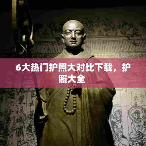 6大热门护照大对比下载,护照大全