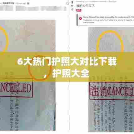 6大热门护照大对比下载,护照大全