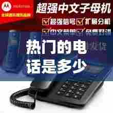热门的电话是多少，最火电话 
