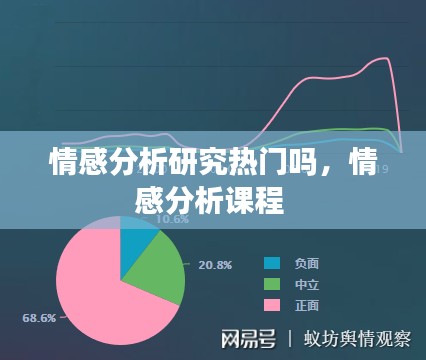 情感分析研究热门吗，情感分析课程 