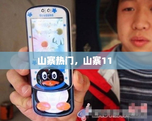 山寨热门,山寨11
