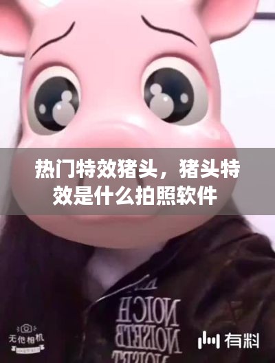 热门特效猪头，猪头特效是什么拍照软件 