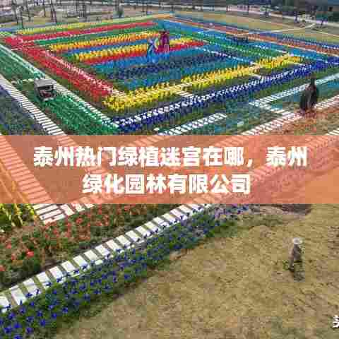 泰州热门绿植迷宫在哪，泰州绿化园林有限公司 