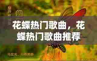 花蝶热门歌曲,花蝶热门歌曲推荐