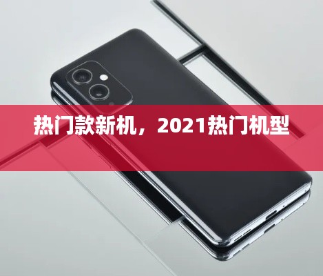 热门款新机，2021热门机型 