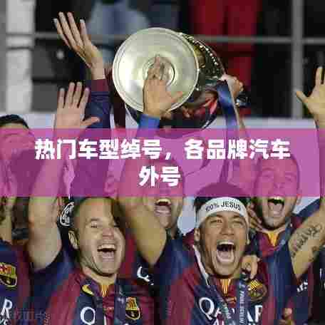 热门车型绰号，各品牌汽车外号 