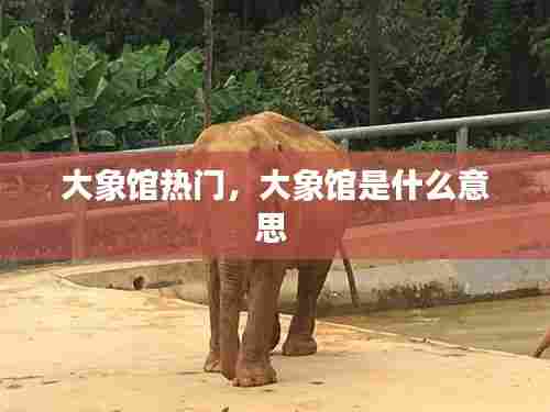 大象馆热门,大象馆是什么意思