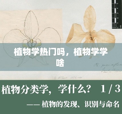 植物学热门吗，植物学学啥 