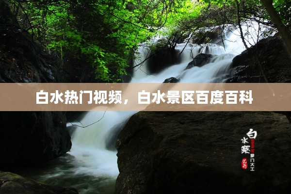 臼灶生蛙 第8页