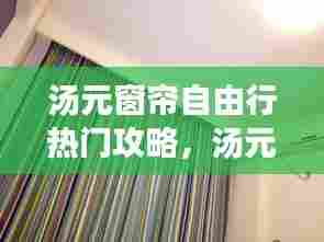 汤元窗帘自由行热门攻略,汤元科技有限公司