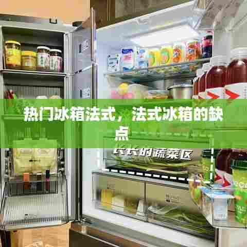 热门冰箱法式,法式冰箱的缺点