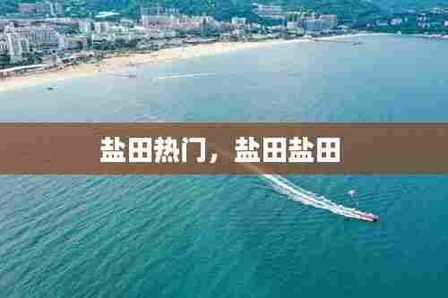 盐田热门，盐田盐田 