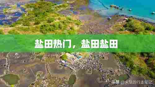 盐田热门,盐田盐田