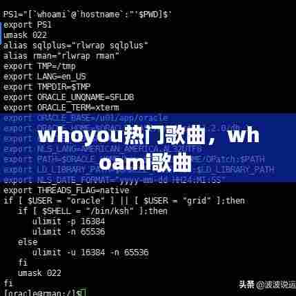 whoyou热门歌曲，whoami歌曲 