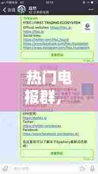 热门电报群,