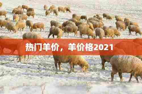 热门羊价，羊价格2021 