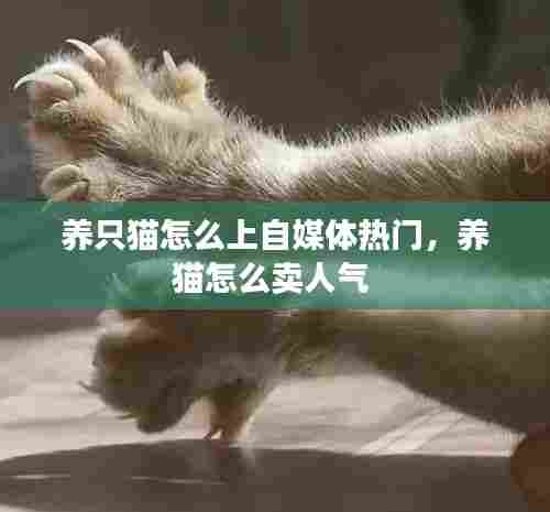 拾金不昧 第7页