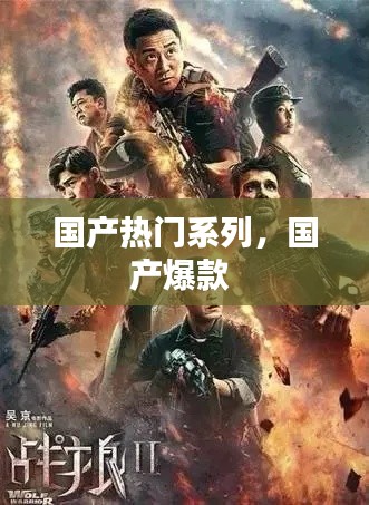 国产热门系列,国产爆款