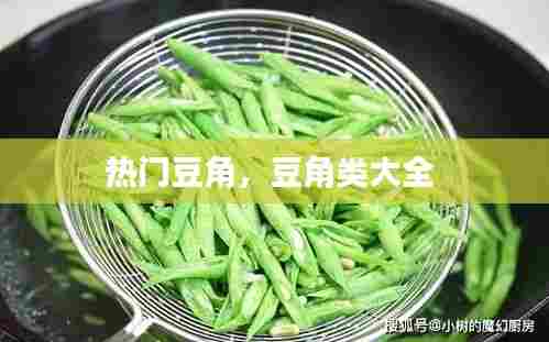 热门豆角,豆角类大全