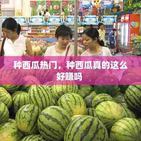 种西瓜热门，种西瓜真的这么好赚吗 