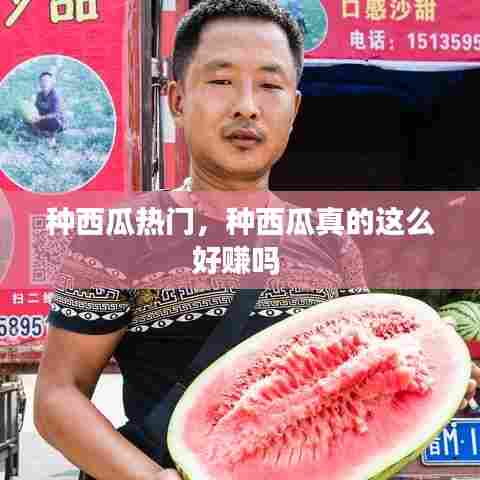 种西瓜热门,种西瓜真的这么好赚吗