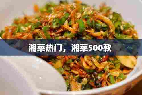 湘菜热门，湘菜500款 
