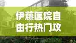 伊藤医院自由行热门攻略，日本伊藤医院地址在哪里 