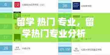 留学 热门 专业，留学热门专业分析 
