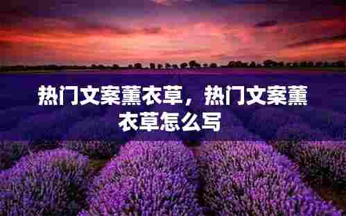 怨天怨地 第7页