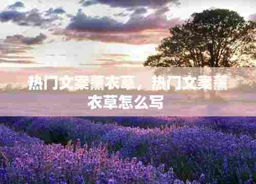 热门文案薰衣草,热门文案薰衣草怎么写