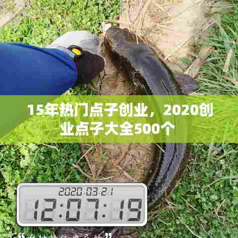 15年热门点子创业,2020创业点子大全500个