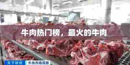 牛肉热门榜,最火的牛肉