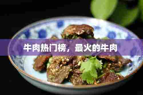 牛肉热门榜,最火的牛肉
