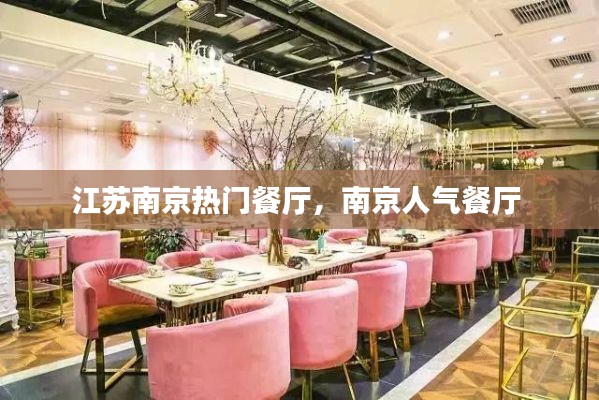 江苏南京热门餐厅,南京人气餐厅