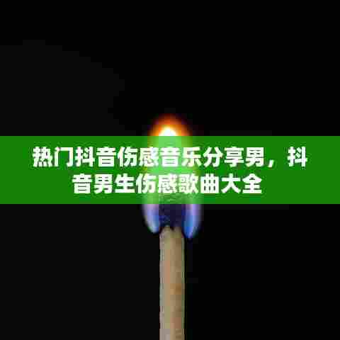 热门抖音伤感音乐分享男,抖音男生伤感歌曲大全