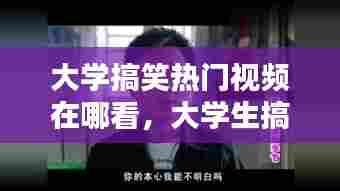 物稀为贵 第6页