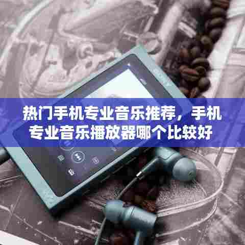 热门手机专业音乐推荐,手机专业音乐播放器哪个比较好