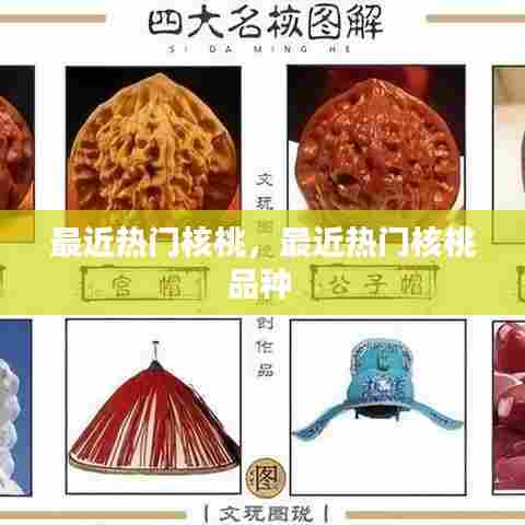 最近热门核桃，最近热门核桃品种 