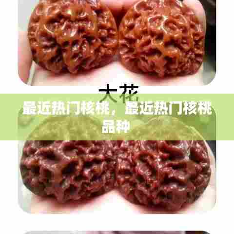 最近热门核桃,最近热门核桃品种