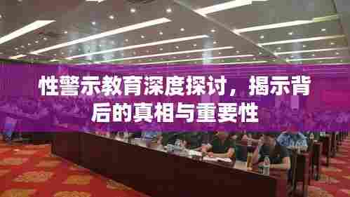 性警示教育深度探讨，揭示背后的真相与重要性