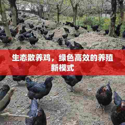 达官贵人 第7页