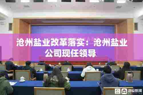 沧州盐业改革落实:沧州盐业公司现任领导