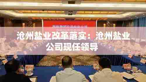 沧州盐业改革落实:沧州盐业公司现任领导