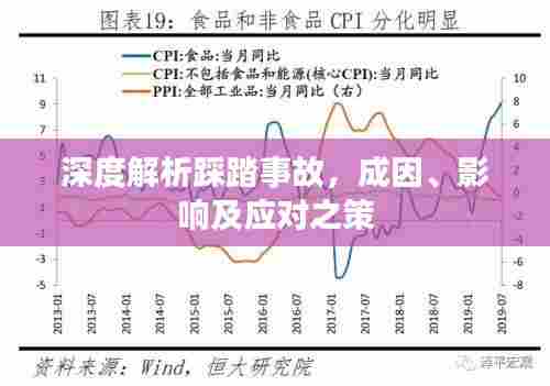 深度解析踩踏事故,成因、影响及应对之策
