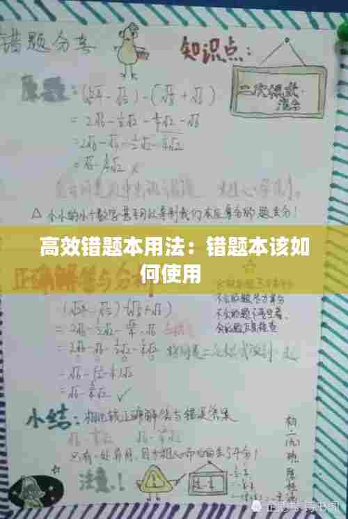 高效错题本用法：错题本该如何使用 