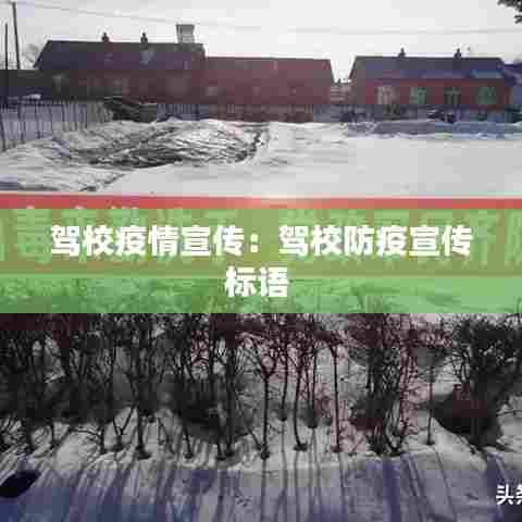 驾校疫情宣传:驾校防疫宣传标语