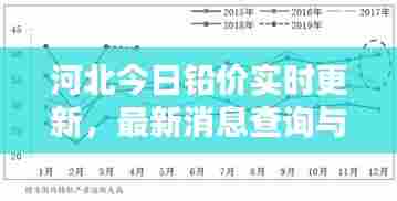 河北今日铅价实时更新，最新消息查询与走势分析