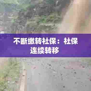 不断缴转社保：社保连续转移 